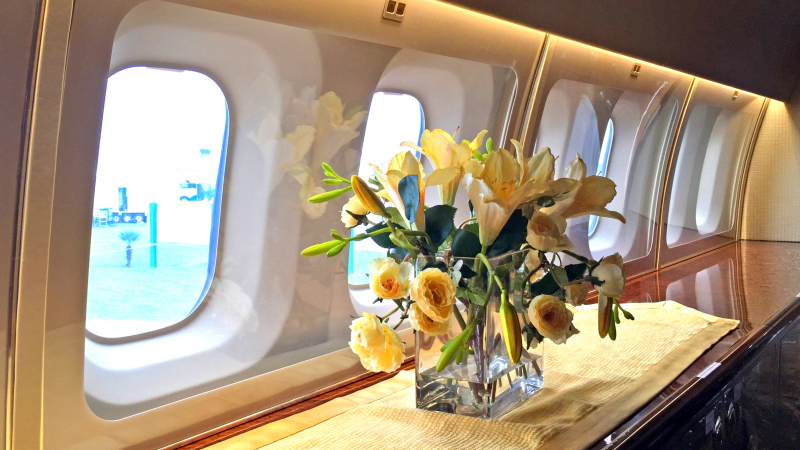 Illustration for article titled Plane Porn - Inside Hyundai's Boeing 737 Business Jet